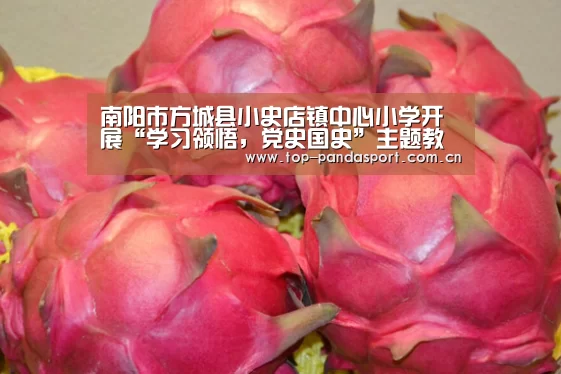 南阳市方城县小史店镇中心小学开展“学习领悟,党史国史”主题教育会议-熊猫体育平台(图1) 熊猫体育