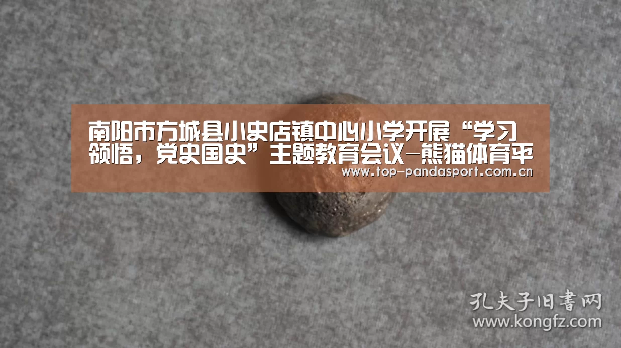 南阳市方城县小史店镇中心小学开展“学习领悟,党史国史”主题教育会议-熊猫体育平台(图2) 熊猫体育官网