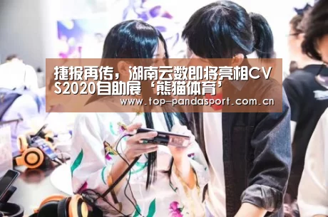 熊猫体育官网