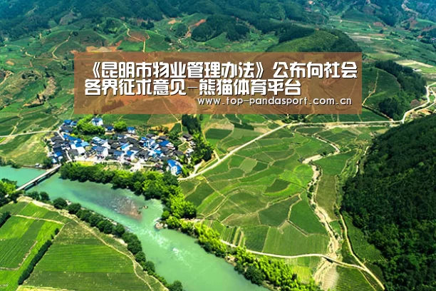 熊猫娱乐