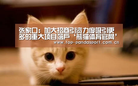 张家口:加大招商引资力度吸引更多的重大项目落户‘熊猫体育官网’(图2) 熊猫体育平台