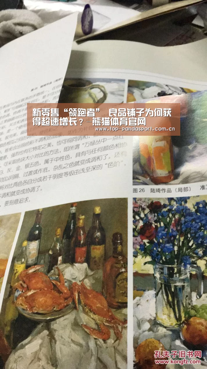 新零售“领跑者” 良品铺子为何获得超速增长?-熊猫体育官网(图2) 熊猫体育官网