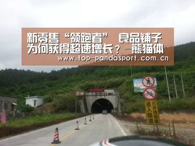 新零售“领跑者” 良品铺子为何获得超速增长?-熊猫体育官网(图3) 熊猫体育平台