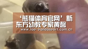 熊猫体育